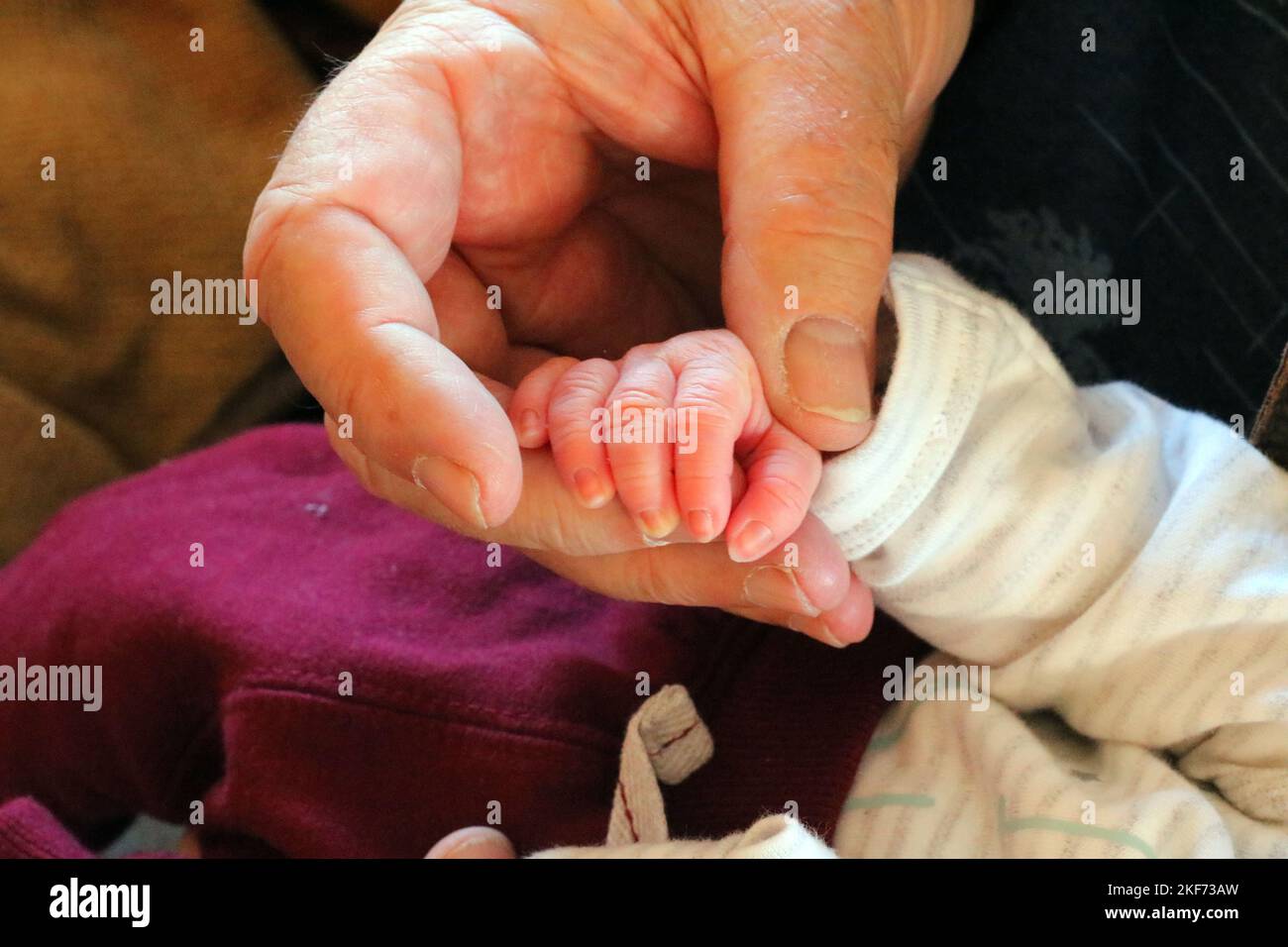 Die Hand des Neugeborenen wird von der Hand des Vaters gehalten. Liebe und Schutz. Stockfoto