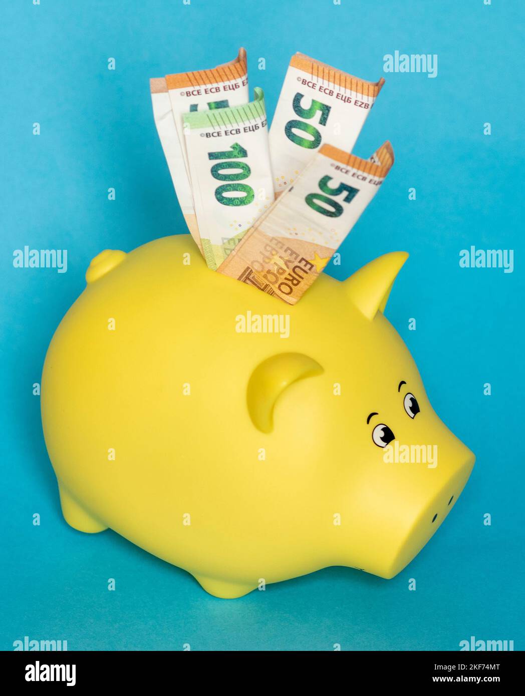Euro-Banknoten in einem gelben Sparschwein vor blauem Hintergrund platziert Stockfoto