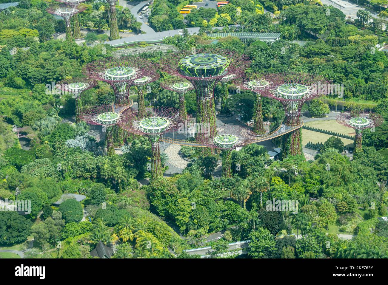 Superbäume in Gardens by the Bay, Singapur. Die baumähnlichen Strukturen sind mit Umwelttechnologien ausgestattet, die die ökologische Funktion nachahmen Stockfoto