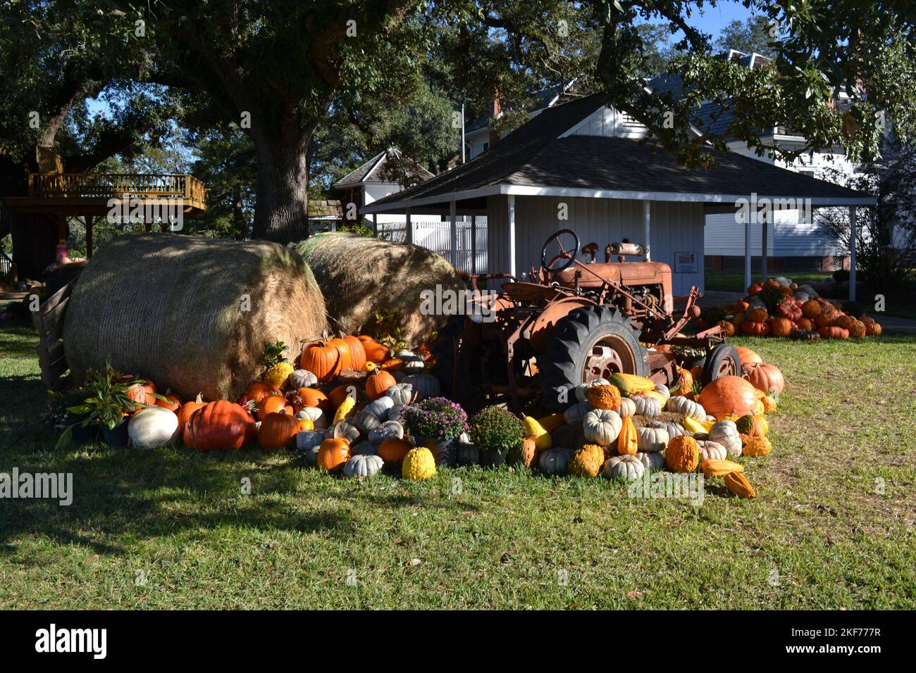 Die Oktoberdörfer-Idylle mit Kürbissen und Traktor irgendwo in Texas Stockfoto
