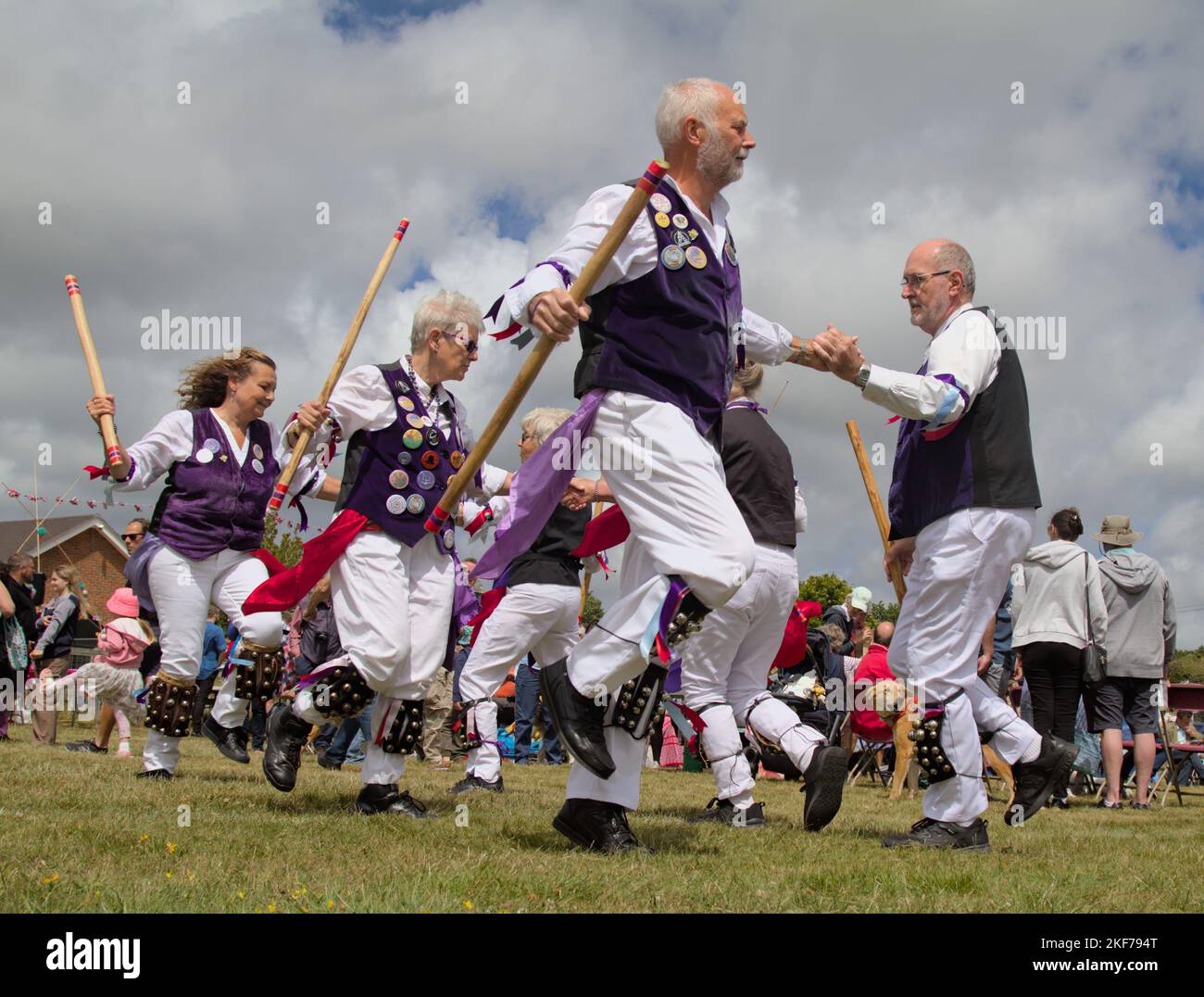 Morris-Tänzer in Kleidung aus purpurpurnen Lumpen Dancing with Sticks, New Forest UK Stockfoto