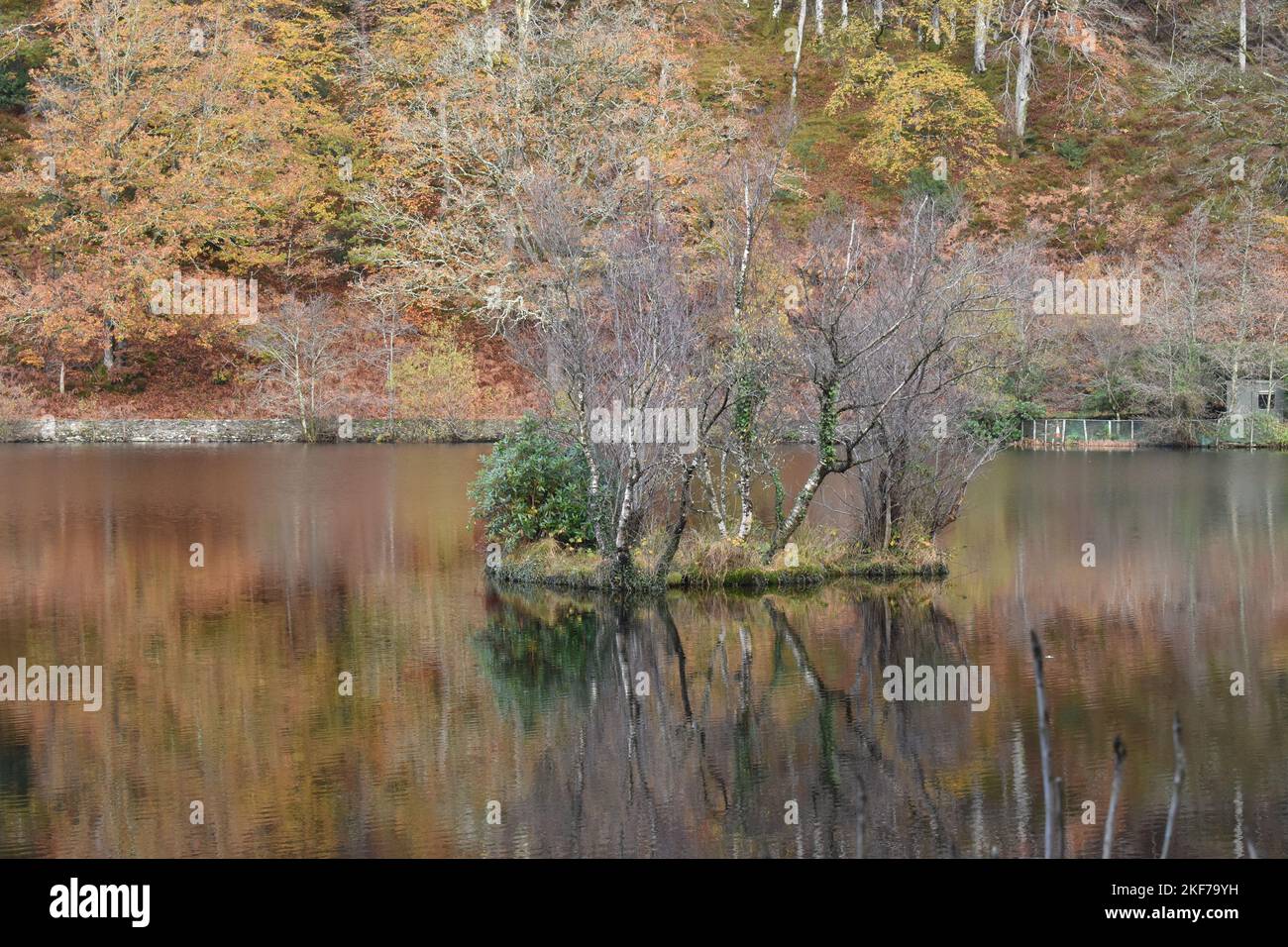 Herbstreflektionen auf Llyn Mair, (Mary's Lake) North Wales, Snowdonia National Park an Einem sonnigen Herbsttag Stockfoto