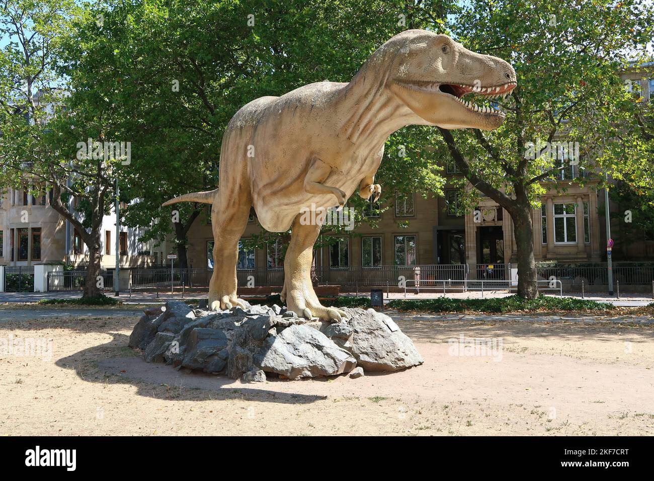 Ein lebensgroßes Modell eines Tyrannosaurus rex vor dem Senckenberg Museum in Frankfurt Stockfoto