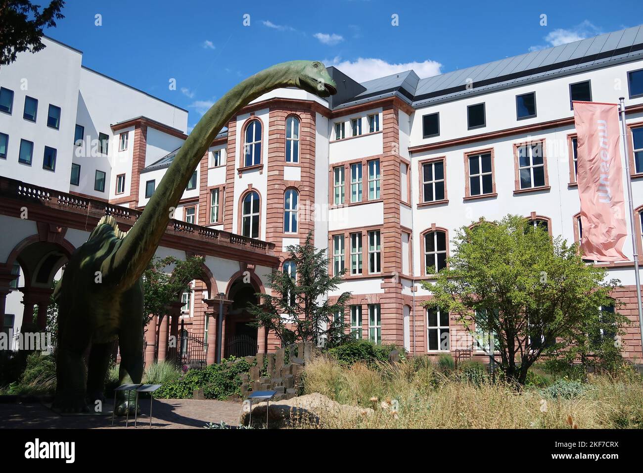 Ein lebensgroßes Modell eines Dinosauriers vor dem Senckenberg Museum in Frankfurt Stockfoto