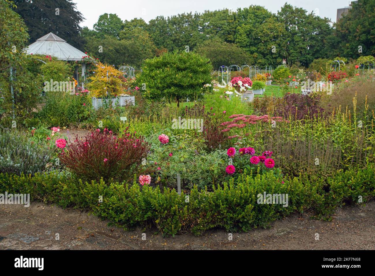 Schöner kreisförmiger Garten mit einer Fülle von Rosen und Astern mit radialen und kreisförmigen Gartenwegen - Schönheit der Natur im botanischen Garten 'Planten Stockfoto