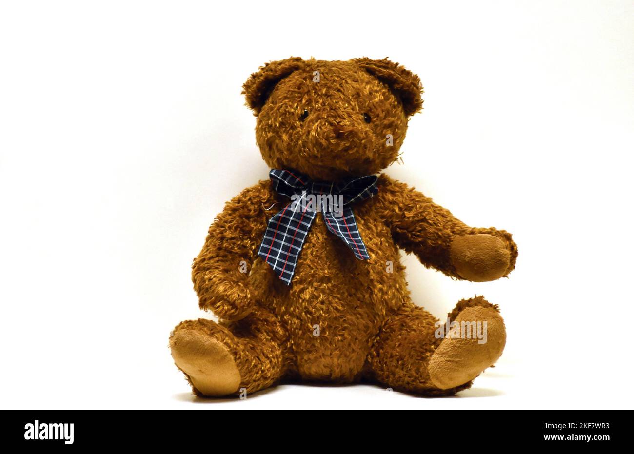 Gefüllter brauner Teddybär mit karierter Fliege Stockfoto