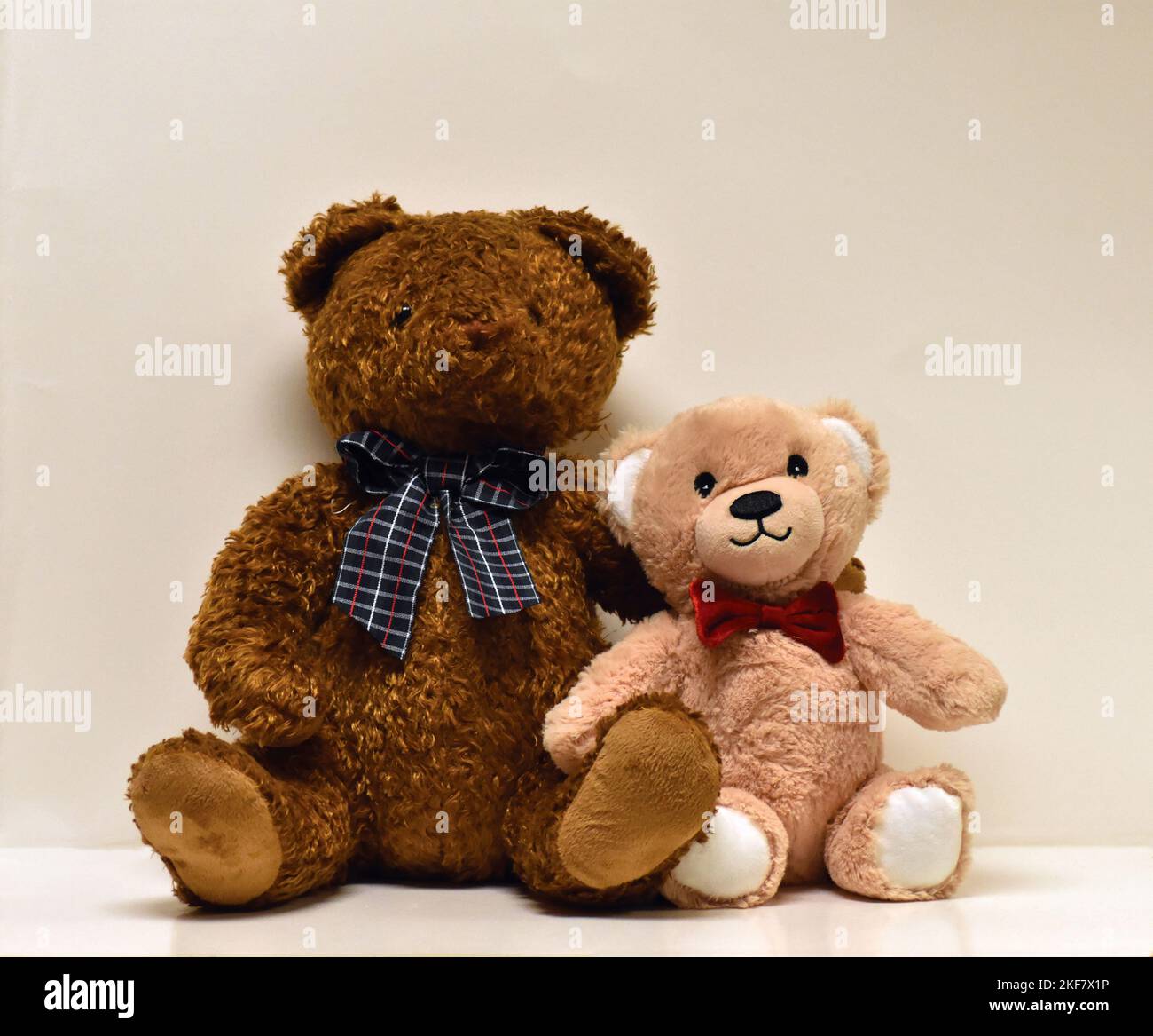 Braun und bräunliche Bären, die nebeneinander sitzen Stockfoto