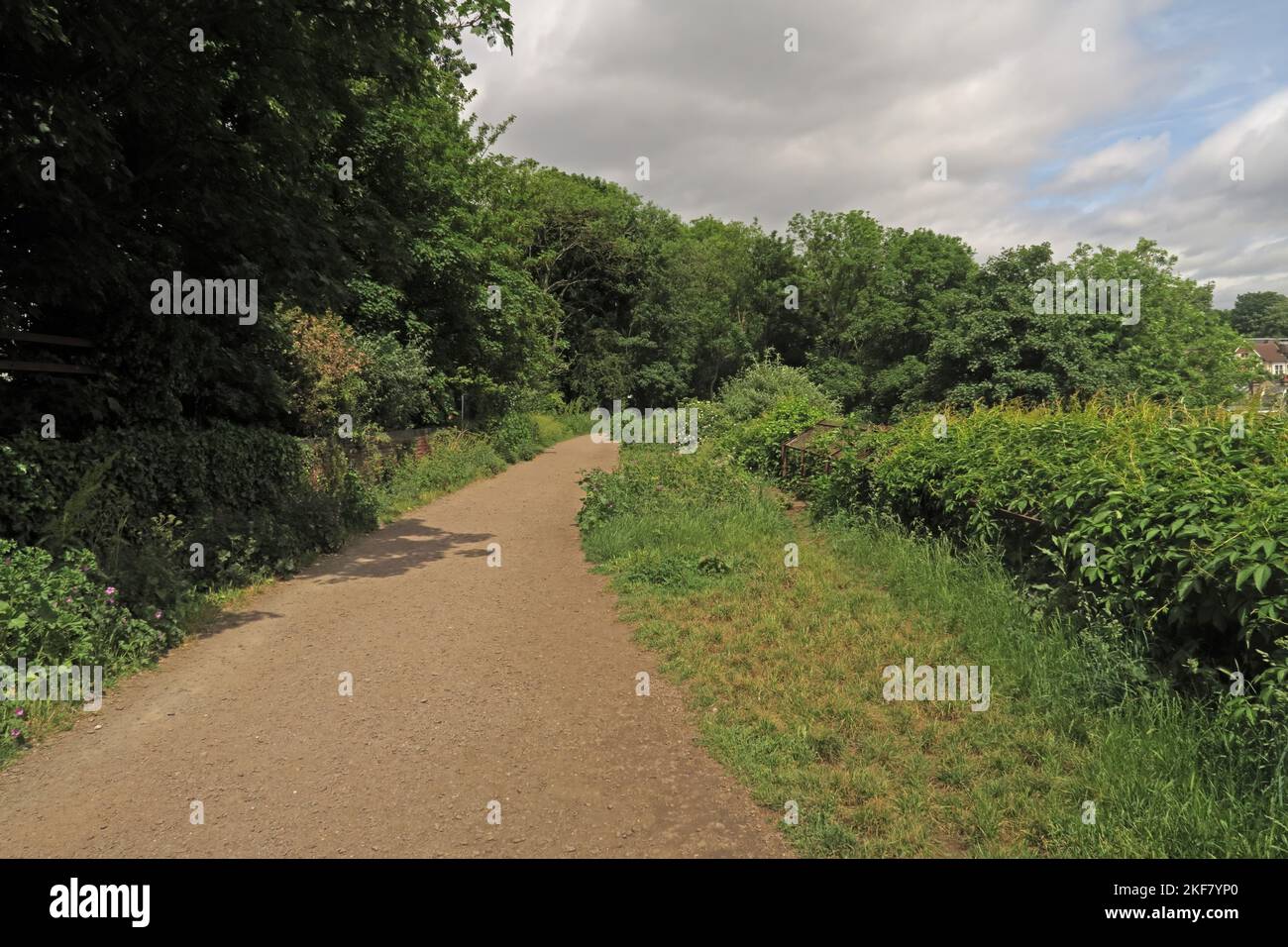 Blick auf die Eisenbahnlinie, die als öffentlicher Fußweg umfunktioniert wurde Parkland Walk, Haringey, North London, Großbritannien Mai Stockfoto