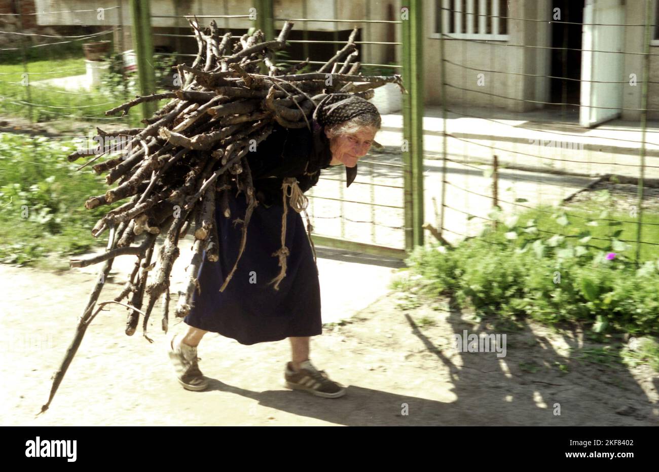 Snagov, Ilfov County, Rumänien, ca. 2000. Eine ältere Frau auf der Straße, die eine große Ladung Feuerholz auf dem Rücken trägt. Stockfoto