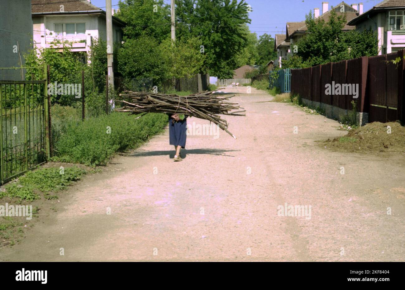 Snagov, Ilfov County, Rumänien, ca. 2000. Eine ältere Frau auf der Straße, die eine große Ladung Feuerholz auf dem Rücken trägt. Stockfoto