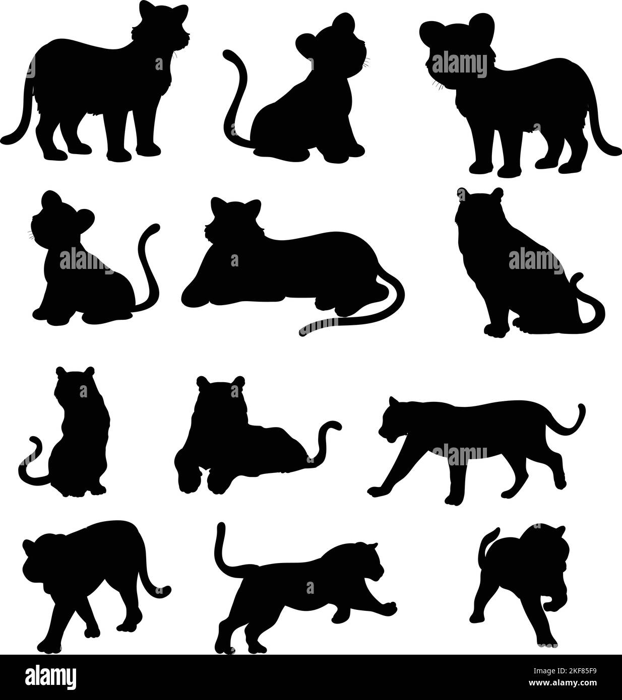 Eine Vektordarstellung einer Silhouettensammlung einer großen Katze, isoliert auf weißem Hintergrund Stock Vektor