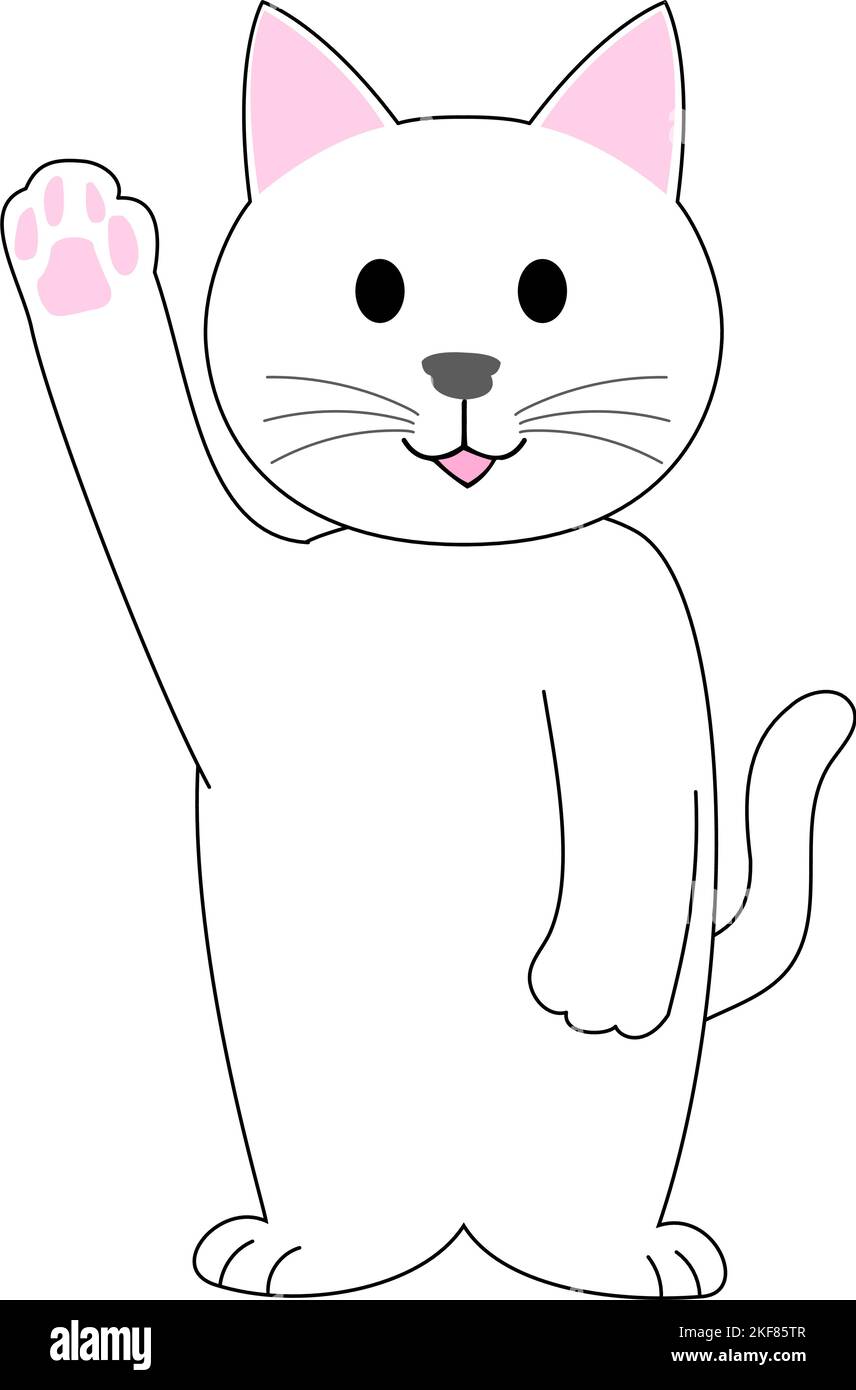 Eine weiße Katze hebt die Hand auf weißem Hintergrund Stockfoto