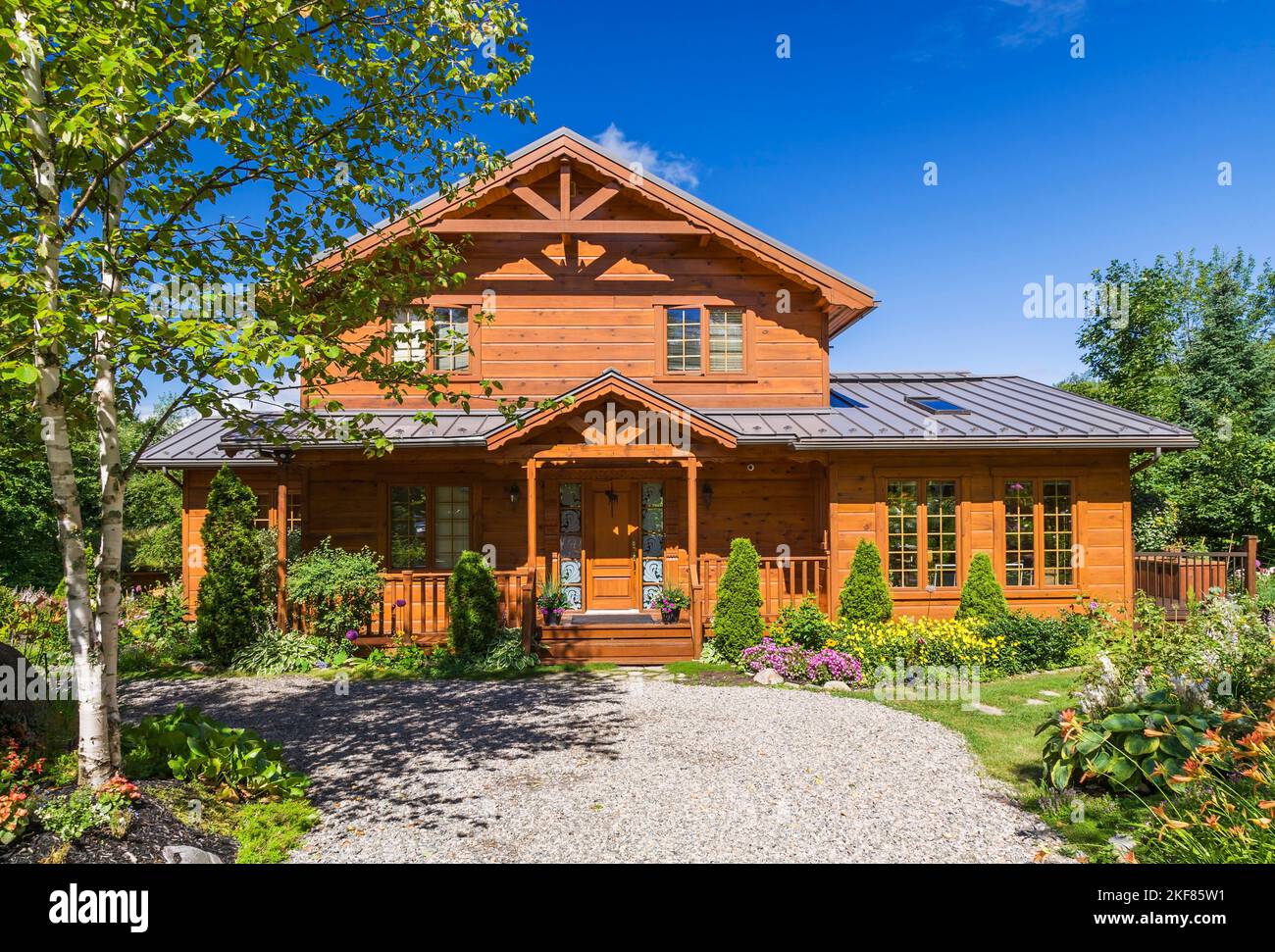 Goldbraun gefärbtes Stück sur Stück östlichen weißen Kiefernholz und Holz Hausfassade mit tan Kies Auffahrt und Thuya occidentalis - Zedernbäume. Stockfoto