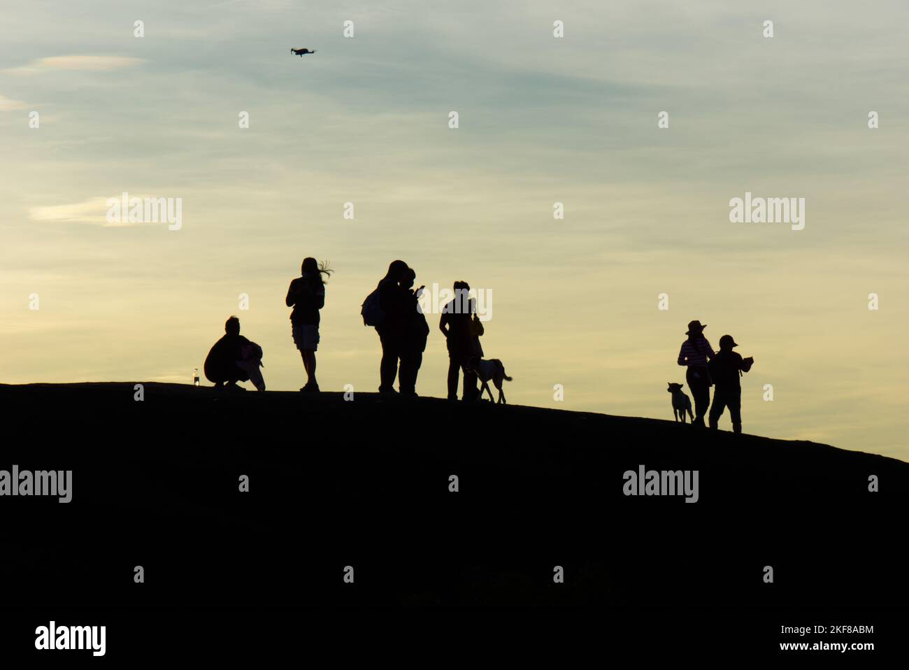 Eine Reisegruppe Silhouette mit Hunden und einer fliegenden Drohne in einem Nationalpark, Thailand. Stockfoto