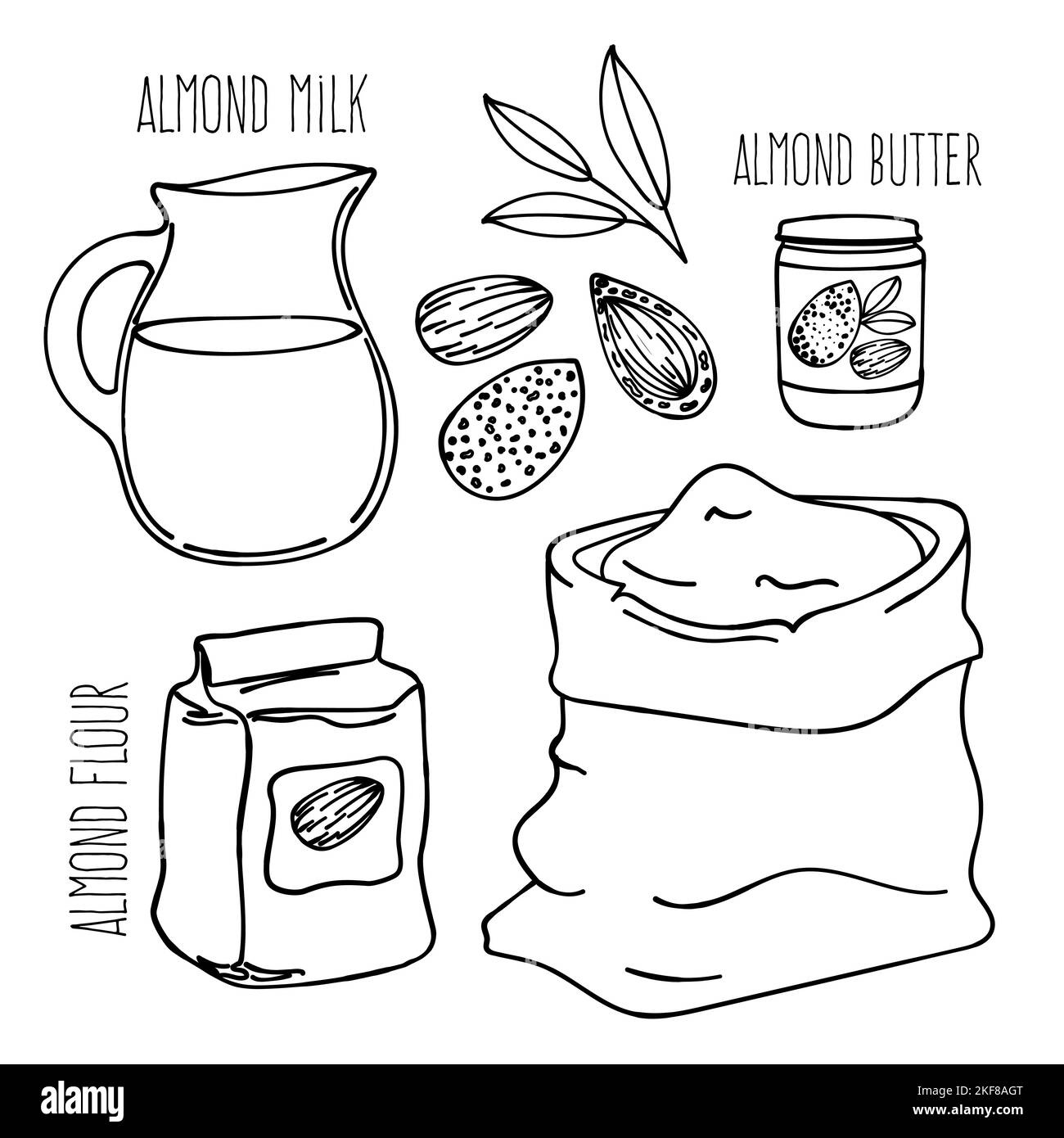 MANDELMEHL Vegetarisch Paleo Keto Natural Diet richtige Ernährung Hand gezeichnet Vektor Illustration Set für Print Stock Vektor