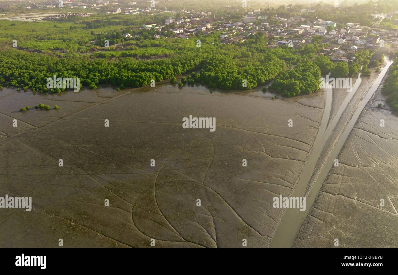 Grüner Mangrovenwald mit nachhaltiger Stadt am Meer. Mangroven