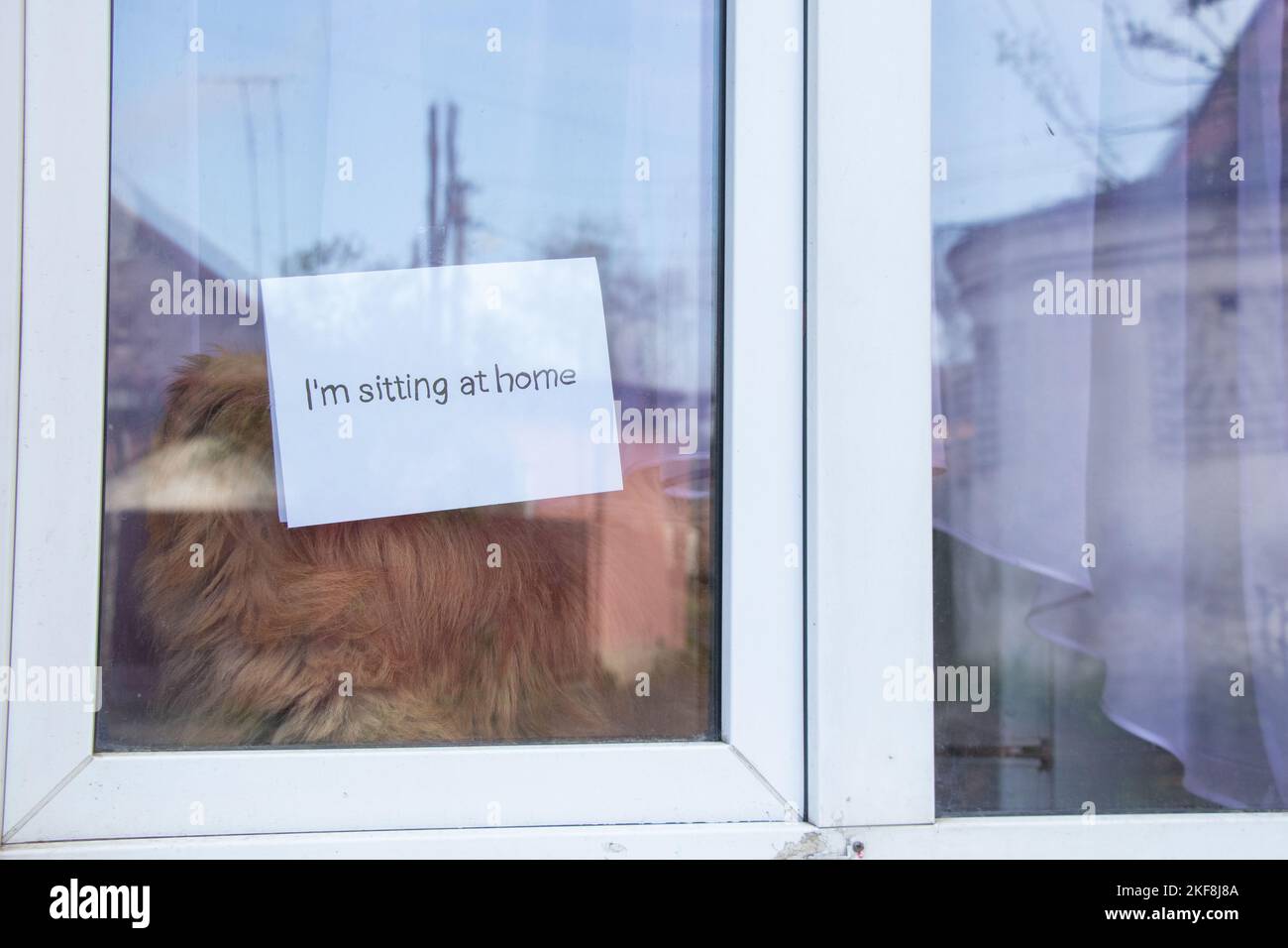 Sitzen zu Hause das Wort in Englisch von Hand geschrieben, hängt an einem Fenster eines Hauses Stockfoto