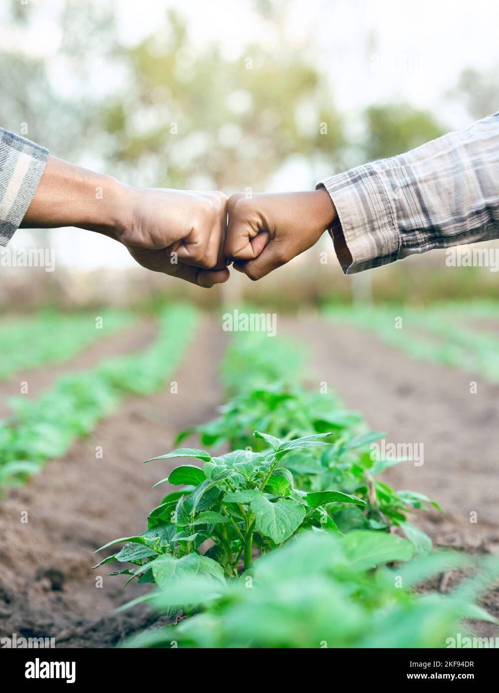 Fist Bump, Unterstützung und Mitarbeiter Landwirtschaft in Partnerschaft für Wachstum, Landwirtschaft und Nachhaltigkeit auf einem Bauernhof. Treffen, verhandeln und Bauern mit Stockfoto