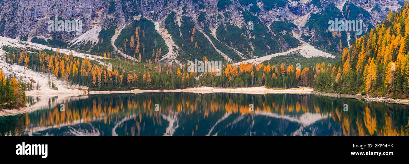 Ein Panoramabild aus dem Jahr 3:1 von einem ruhigen Herbstmorgen mit vielen Herbstfarben von den Lärchen am Pragser Wildsee, einem malerischen lak Stockfoto