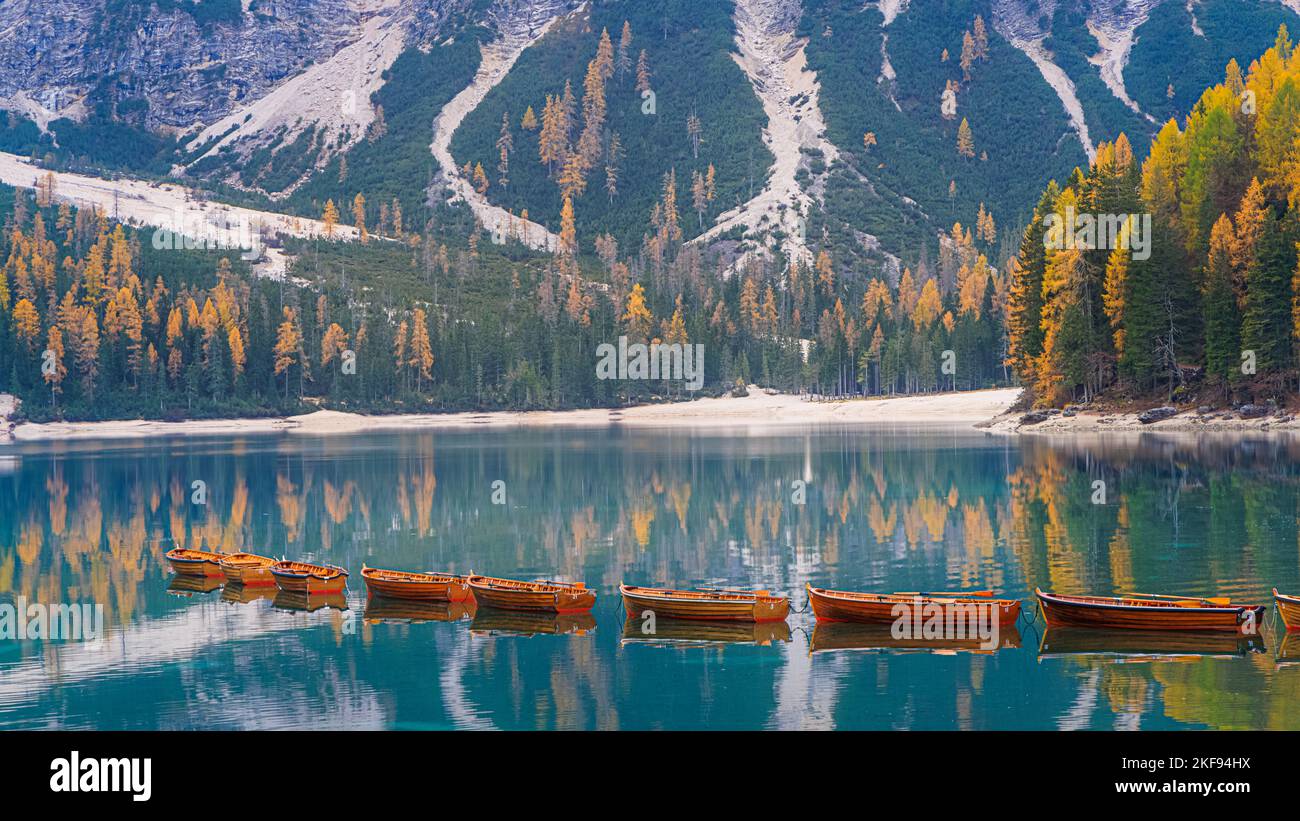 Ein ruhiger Herbstmorgen mit vielen Herbstfarben von den Lärchen und den berühmten Booten am Pragser Wildsee (Lago Prages), einem malerischen See in Stockfoto