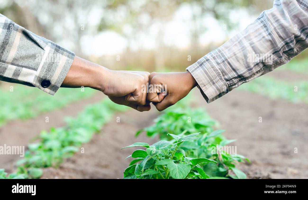 Landwirtschaft, Landwirtschaft und erste Beule für B2B Business Deal, Partnerschaft oder Vereinbarung auf einer Agro-Farm mit Händen für Vertrauen, Teamwork und Wachstum. Mann und Stockfoto