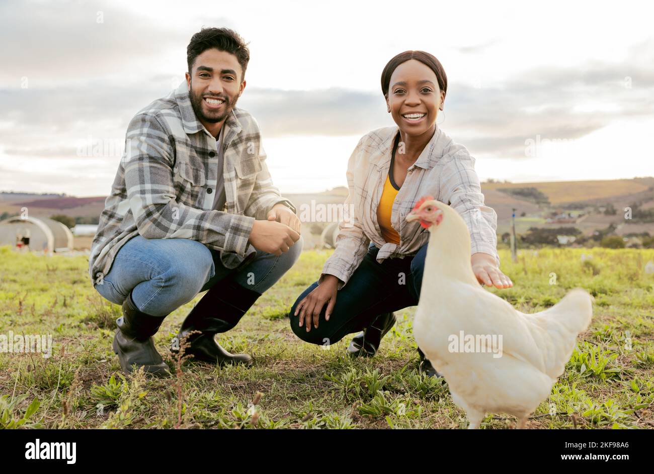 Bauernhof, Viehzucht und Porträt eines Paares mit einem Huhn auf einem landwirtschaftlichen, nachhaltigen und grünen Feld. Geflügel, umweltfreundlich und Agro Mann und Frau Stockfoto