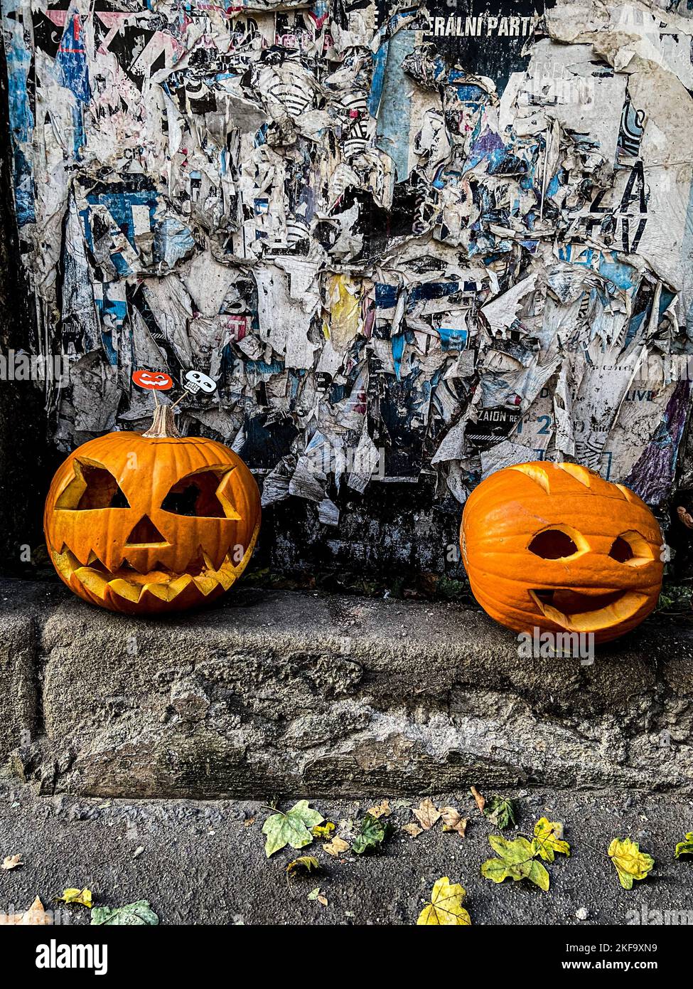 Halloween Jack-o'-Laterne geschnitzte Kürbisse mit ghoulischen Gesichtern. Stockfoto