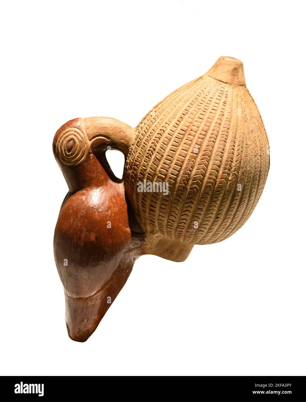 Zoomorphe, keramische Vase oder Topf in Form eines Vogels, der eine Frucht isst. Aus dem Chimor - Inka-Königreich oder Chimu - Inka-Kultur von Peru. Später Horizont Stockfoto