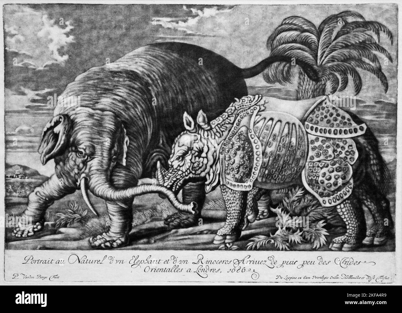 Elefant und Nashorn von Pieter van den Berge (1659-1737) Stockfoto
