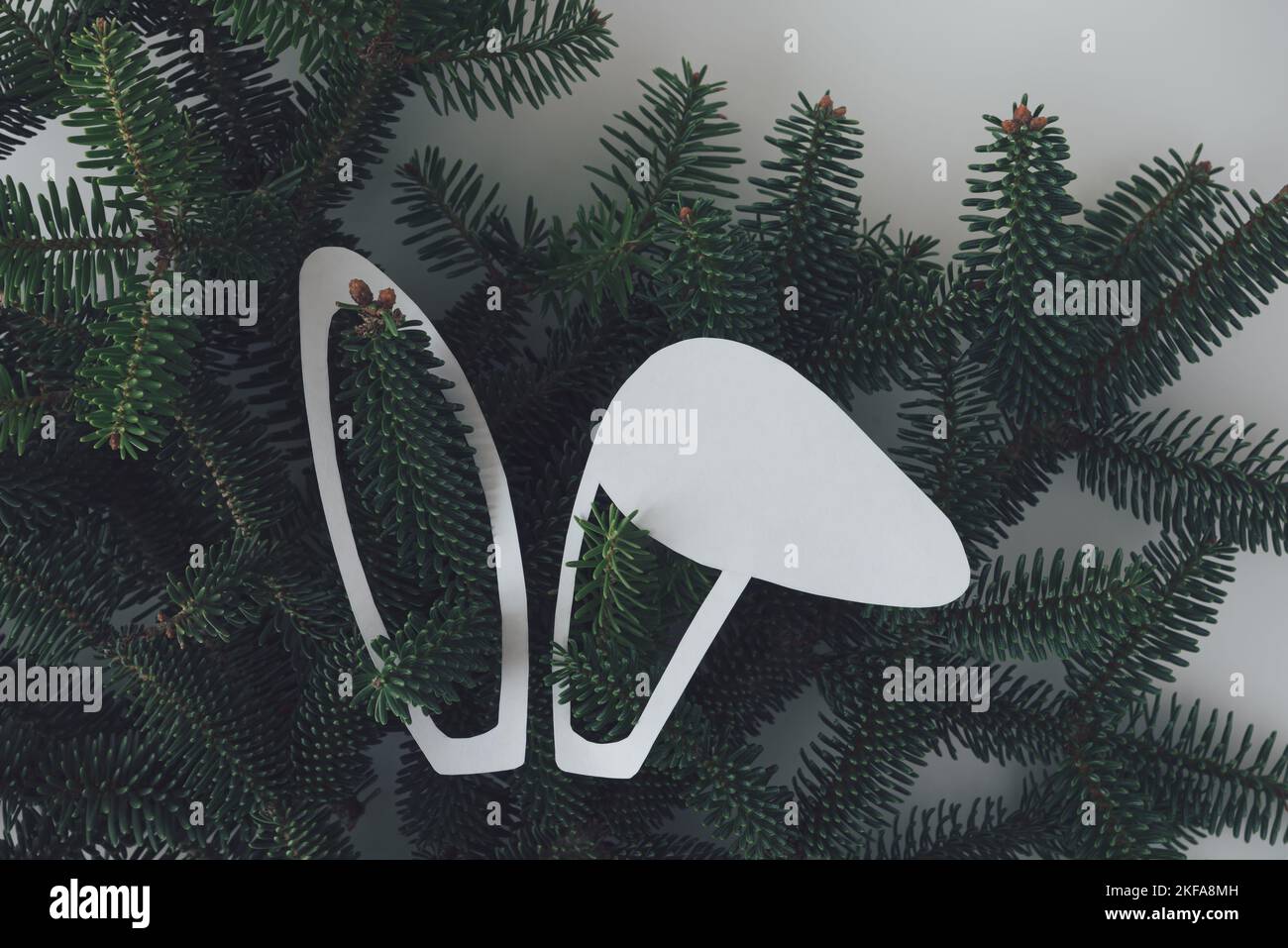 Weiße Kaninchenohren auf dem Hintergrund eines Weihnachtsbaums. 2023 Neujahr des Kaninchens nach dem orientalischen Kalender. Chinesischer Tierkreis. Stockfoto