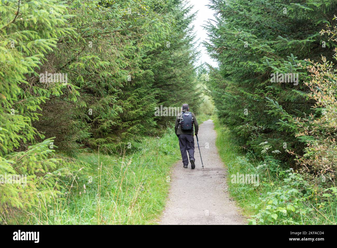 Rentner, der durch den Wald geht. Tägliche Wanderaktivitäten für ältere Menschen Stockfoto