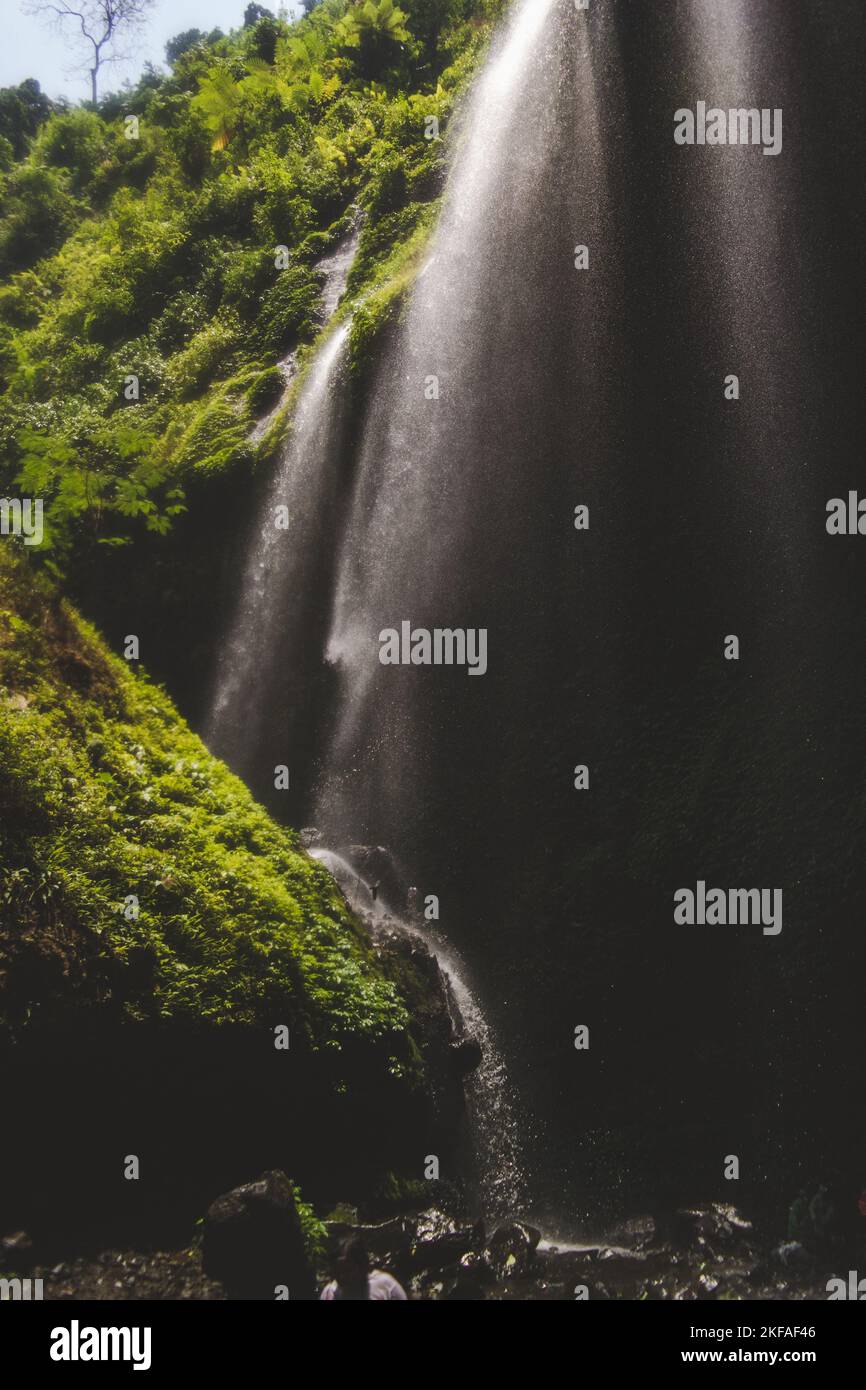 Eine vertikale Aufnahme des Madakaripura-Wasserfalls, der die mit Grün bedeckten Felsen in Indonesien hinunter fließt Stockfoto