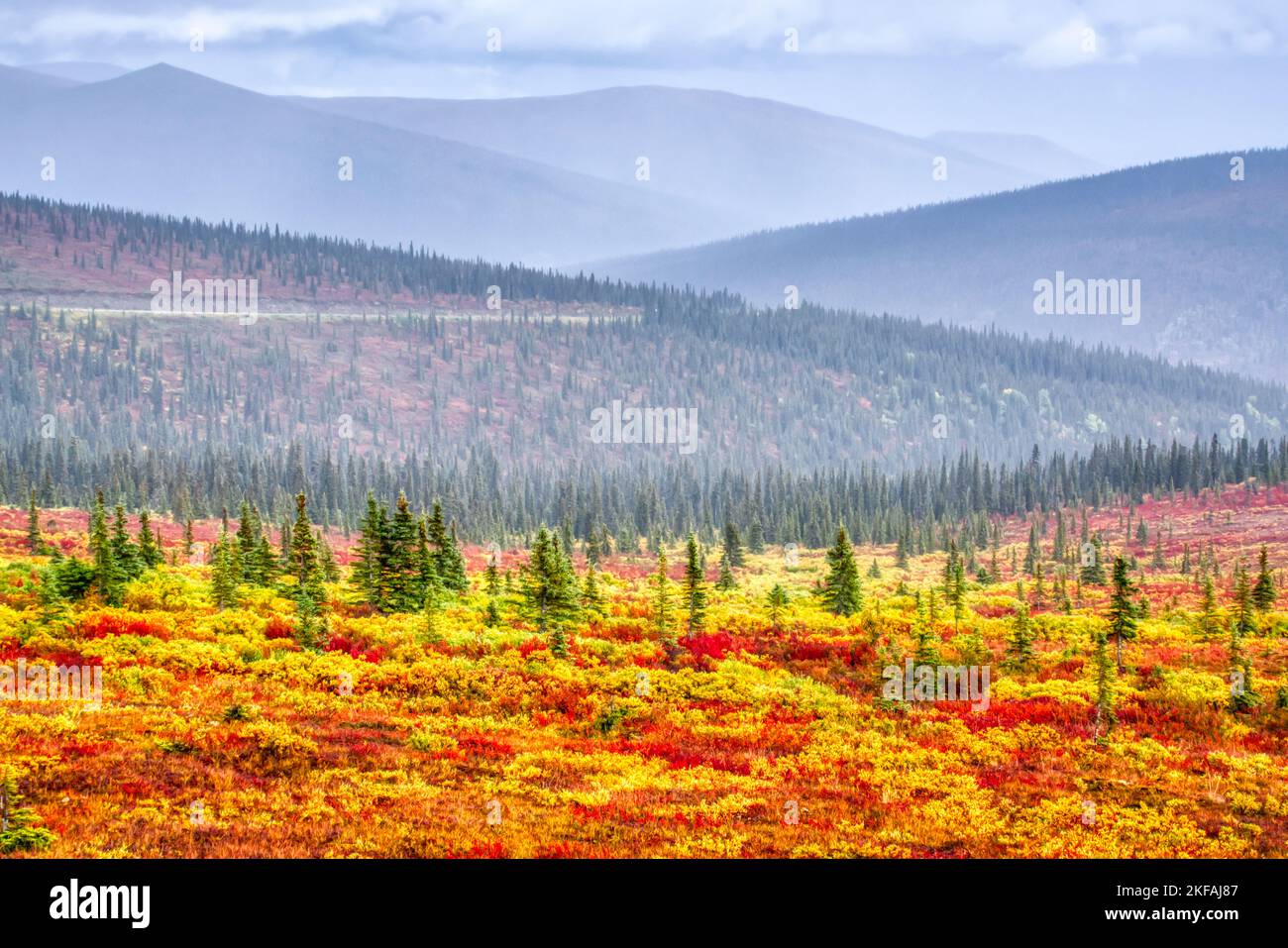 Farbenfrohe Herbsttundra aus alaska entlang des Steese Highway nördlich von Fairbanks, Alaska Stockfoto