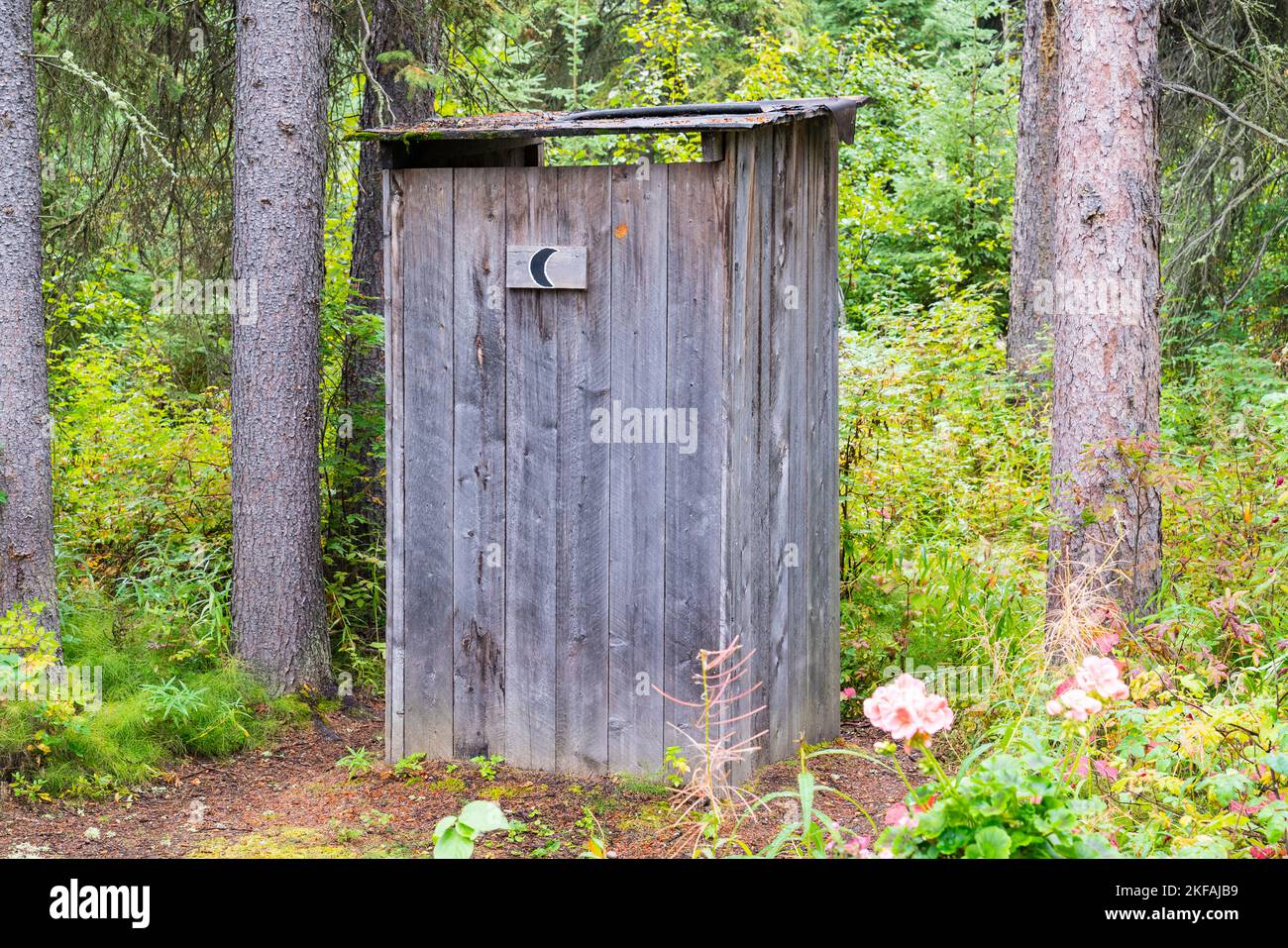 Rustikales und verwittertes altes Holzhaus im Wald Stockfoto