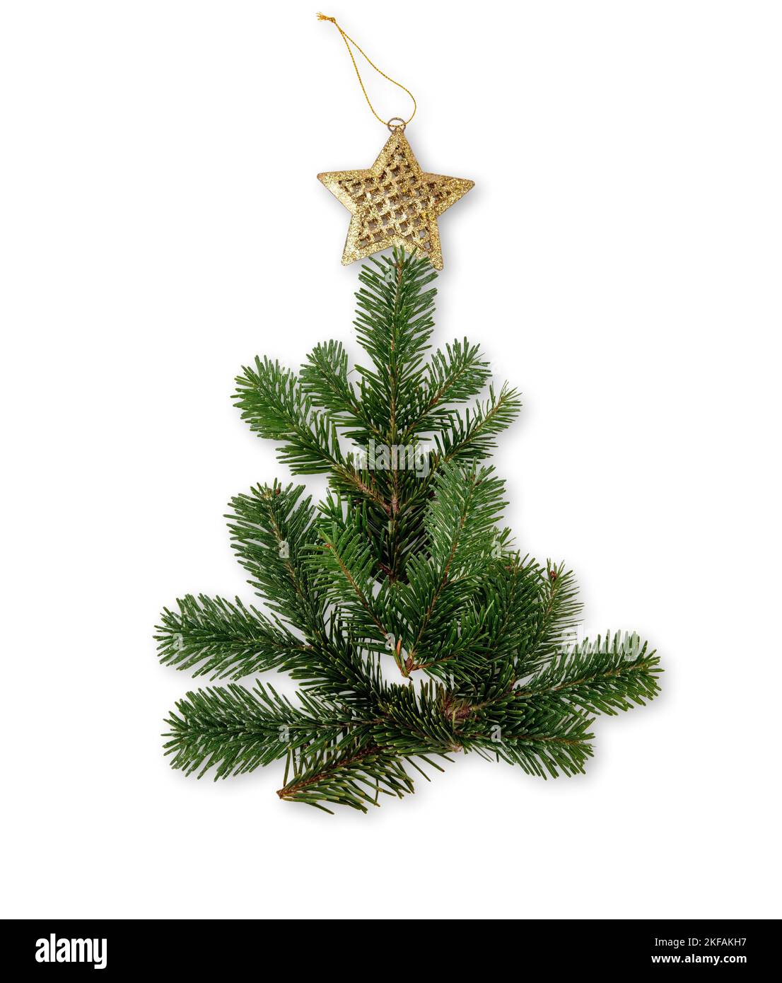 Weihnachtsbaum isoliert auf weißem Hintergrund, Tannenzweig und goldener Stern oben. Frohe Weihnachtskarte Stockfoto