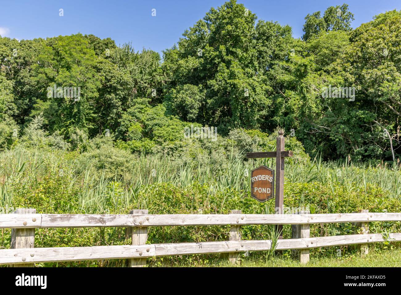 Ryders Teich in North Haven, NY Stockfoto