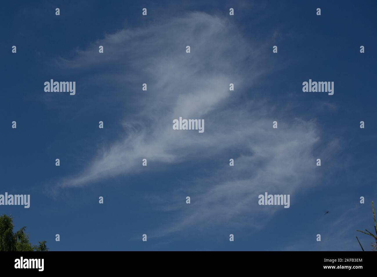 cirrus-Wolken bildeten die Figur eines Engels am Himmel Stockfoto