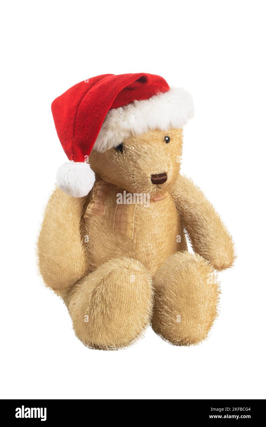 Teddybär mit weihnachtshut isoliert auf weißem Hintergrund Stockfoto