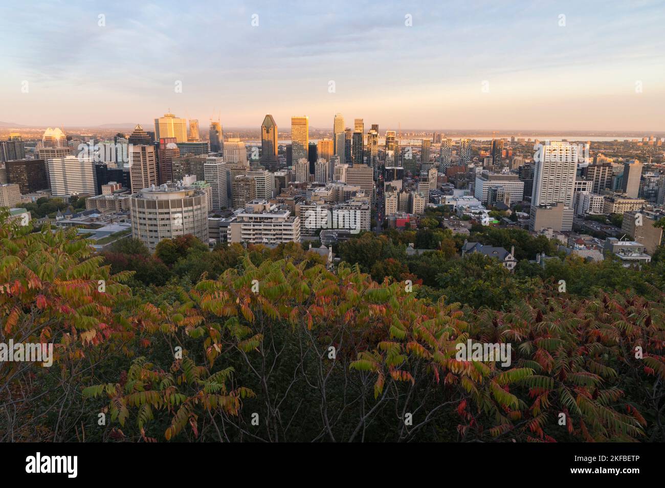 Skyline von Montreal City bei Sonnenuntergang vom Mont Royal Park, Montreal, Quebec, Kanada Stockfoto