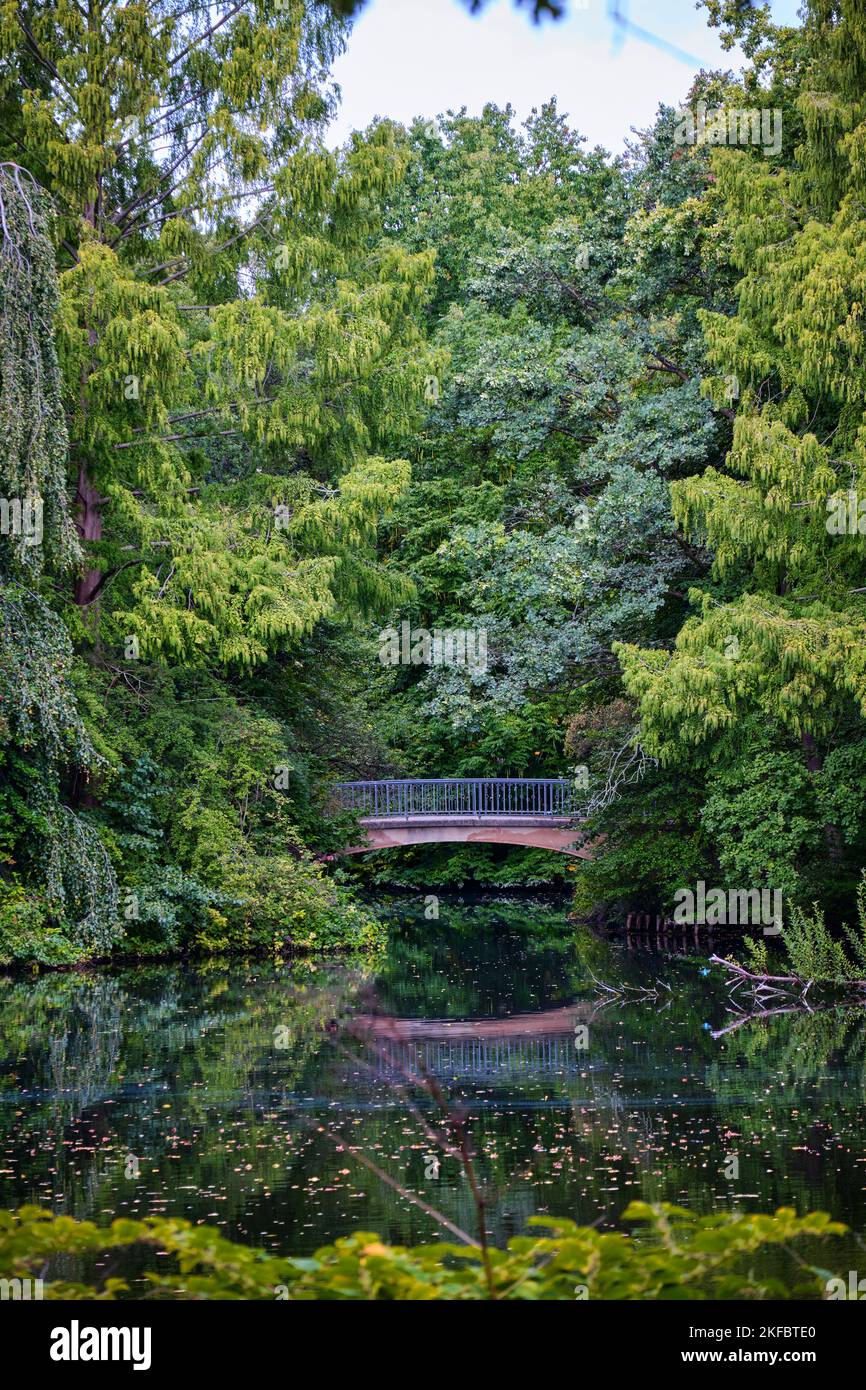Berlin, Deutschland - September 2022: Eine Holzbrücke inmitten einer grünen Landschaft und Reflexion am Teich Tiergarten Stockfoto