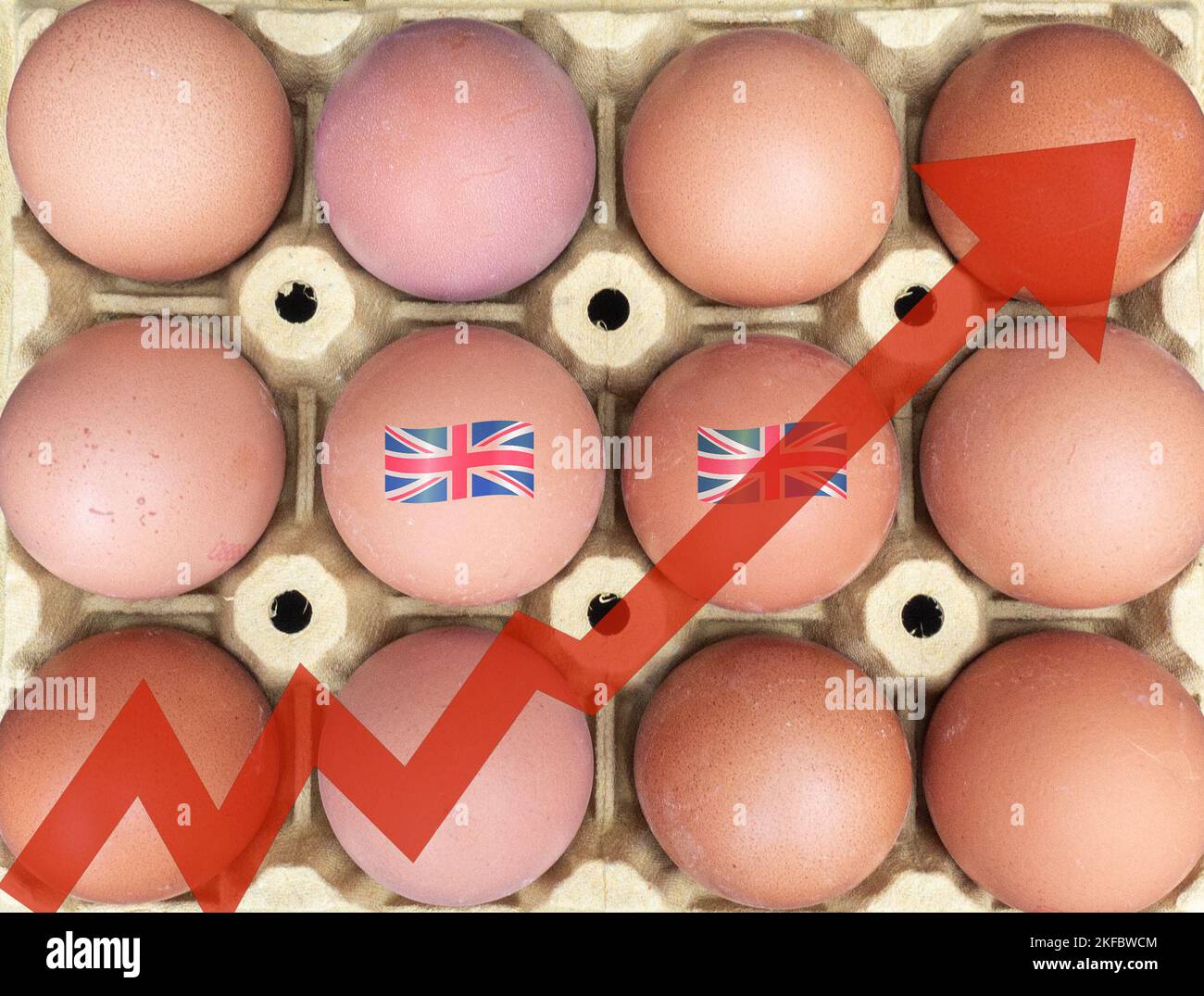 Eiermangel, steigende Eierpreise, Inflation, Lebenshaltungskosten, Vogelgrippe, Vogelgrippe... Konzept Stockfoto