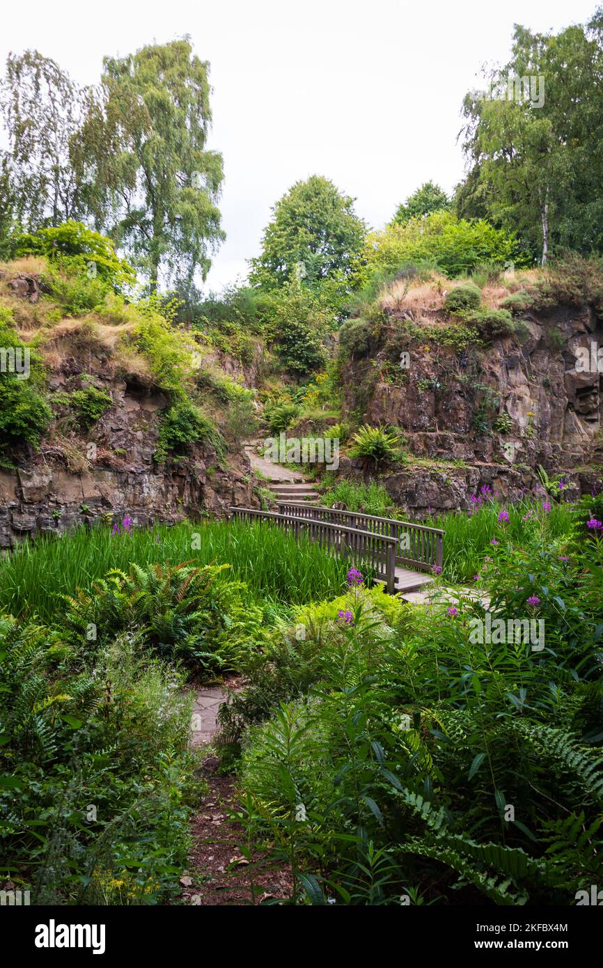 Glasgows berühmter Fossil Park Stockfoto