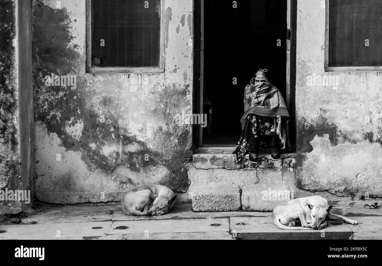 Die indische Frau, die auf der Eingangstreppe sitzt, mit Hunden, die auf der Straße schlafen, Delhi, Indien, Graustufen Stockfoto