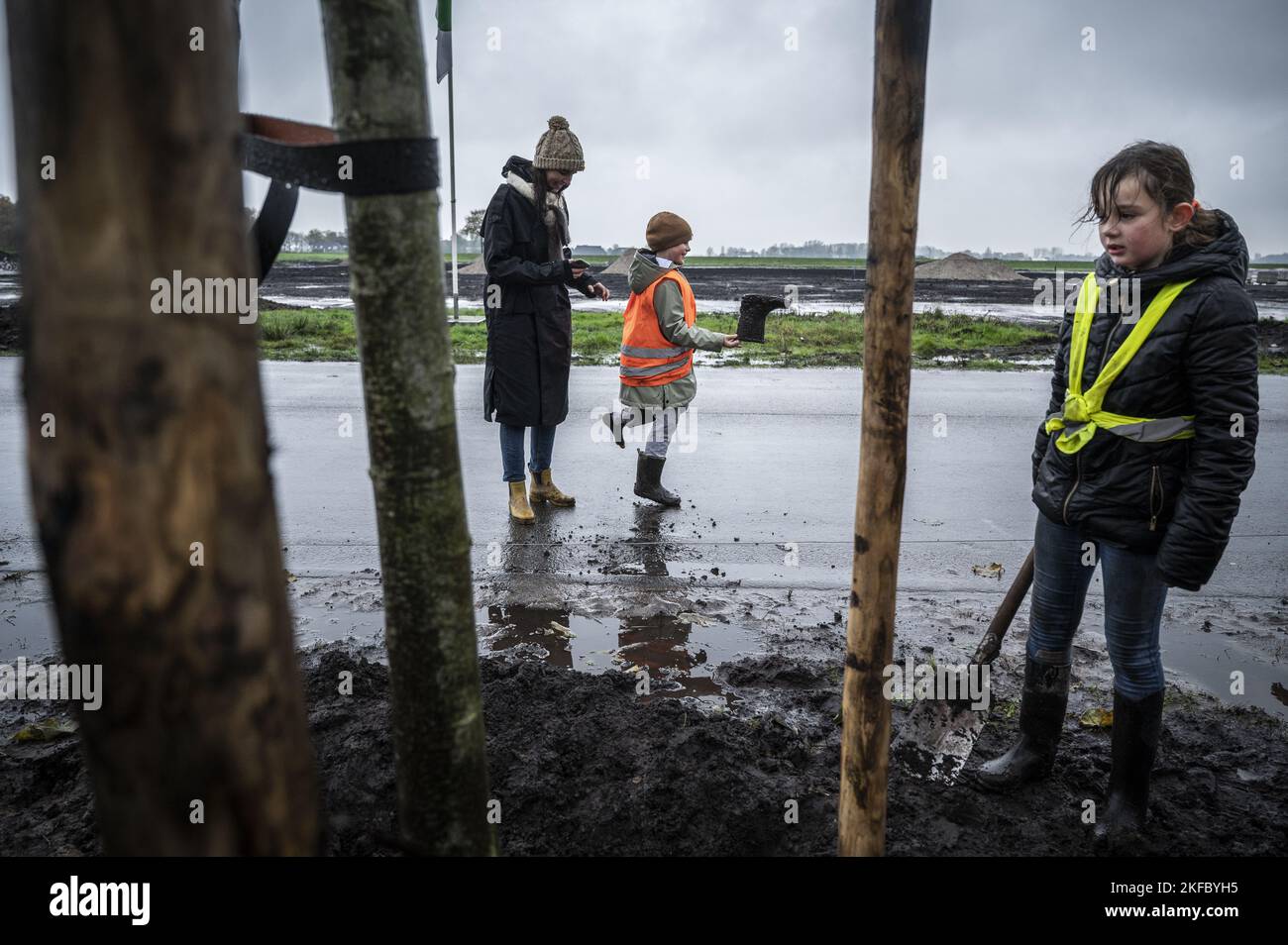 Niederlande, Meerstad, 11-16-'22; Kinder der Meeroevers Cooperation School Pflanzen im Rahmen des Nationalen Baumfesttags Bäume auf dem Vossenburglaan in Meerstad. Foto: ANP / Hollandse Hoogte / Kees van de Veen niederlande Out - belgien Out Stockfoto