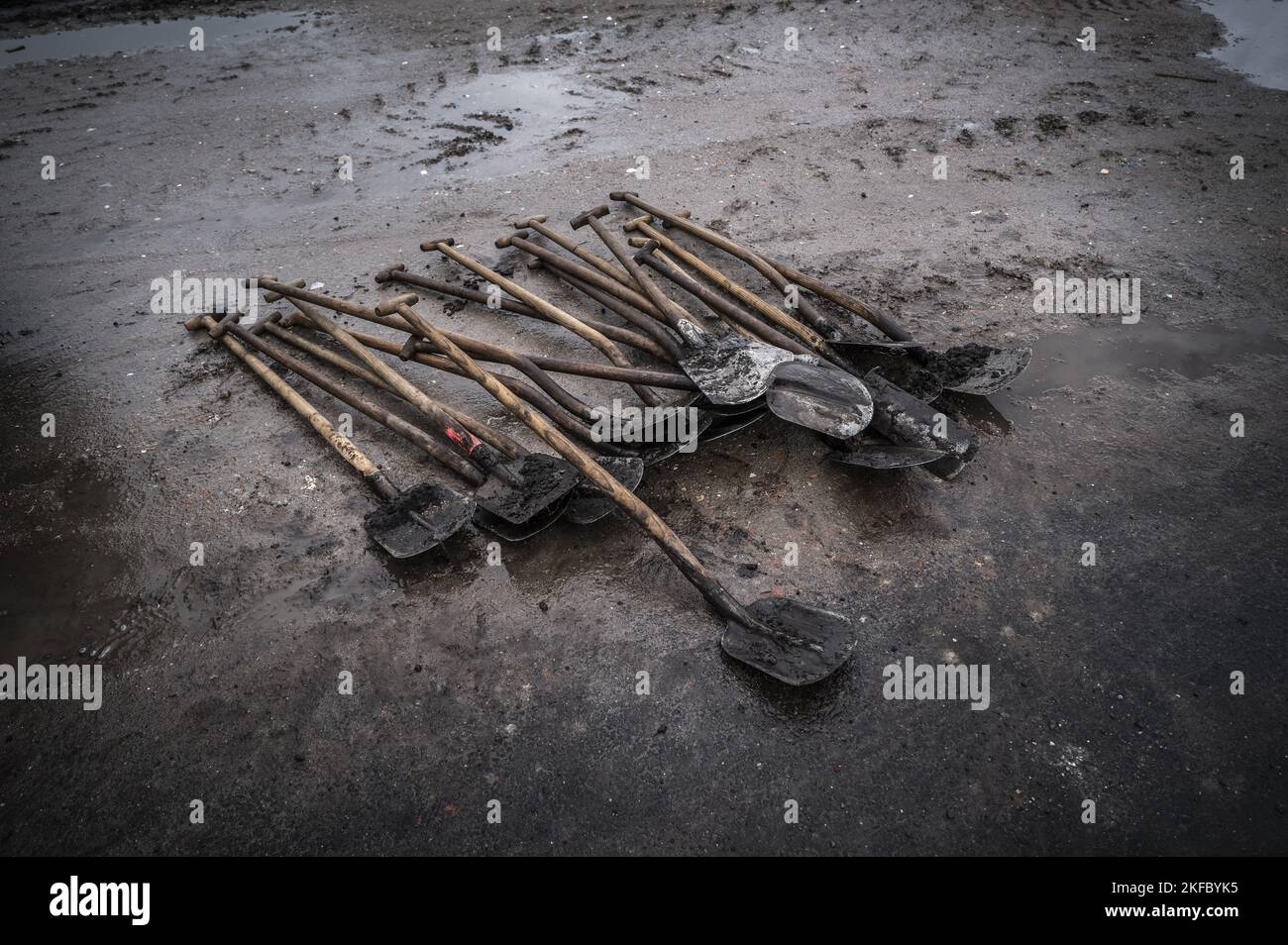 Niederlande, Meerstad, 11-16-'22; Kinder der Meeroevers Cooperation School Pflanzen im Rahmen des Nationalen Baumfesttags Bäume auf dem Vossenburglaan in Meerstad. Foto: ANP / Hollandse Hoogte / Kees van de Veen niederlande Out - belgien Out Stockfoto