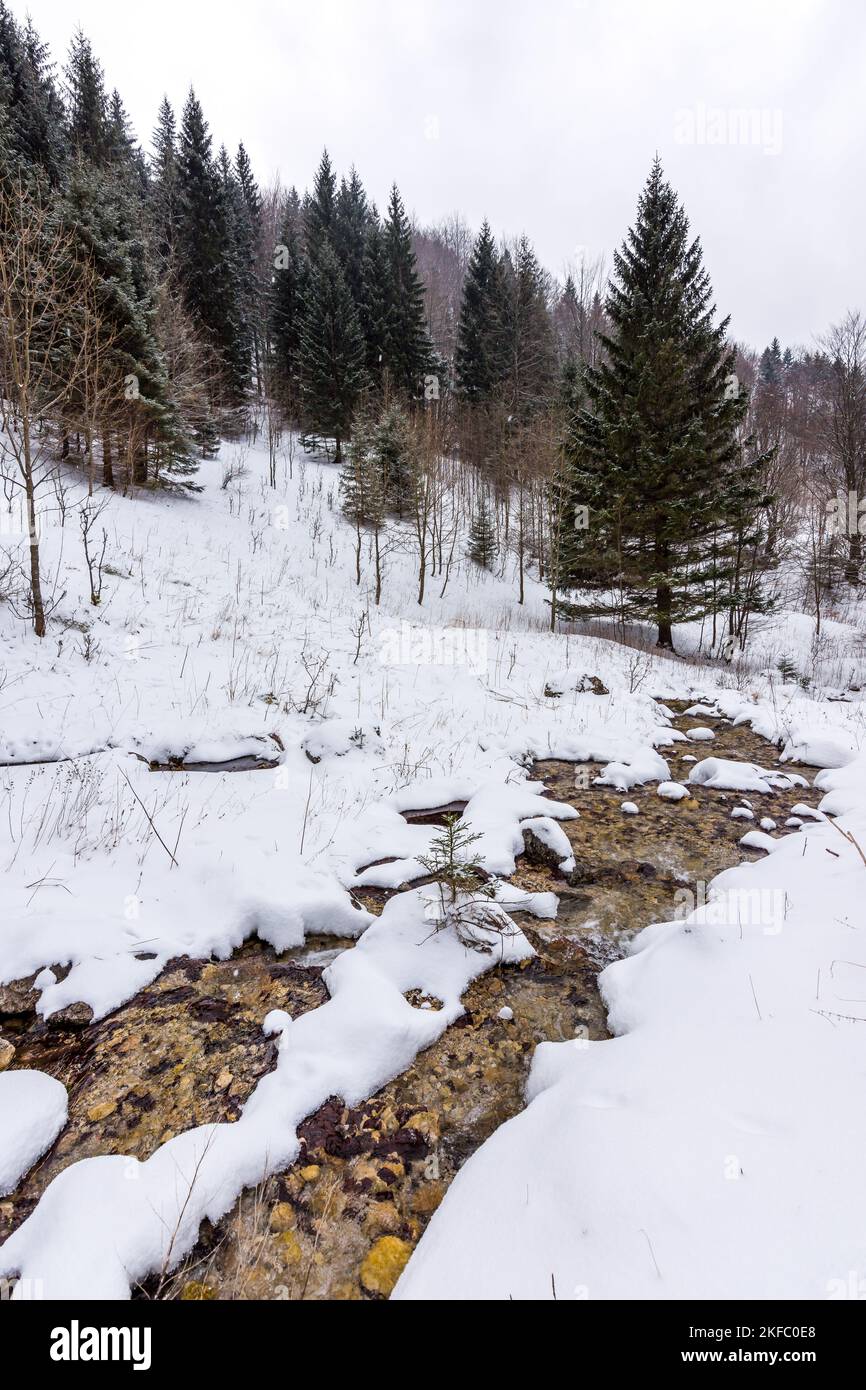 Slowakei Nationalpark Mala Fatra, Janosikove Diery, Terchova Dorf. Wege im Frost, Winter. Wandern und Tourismus in der Slowakei, Mitteleuropa. Stockfoto