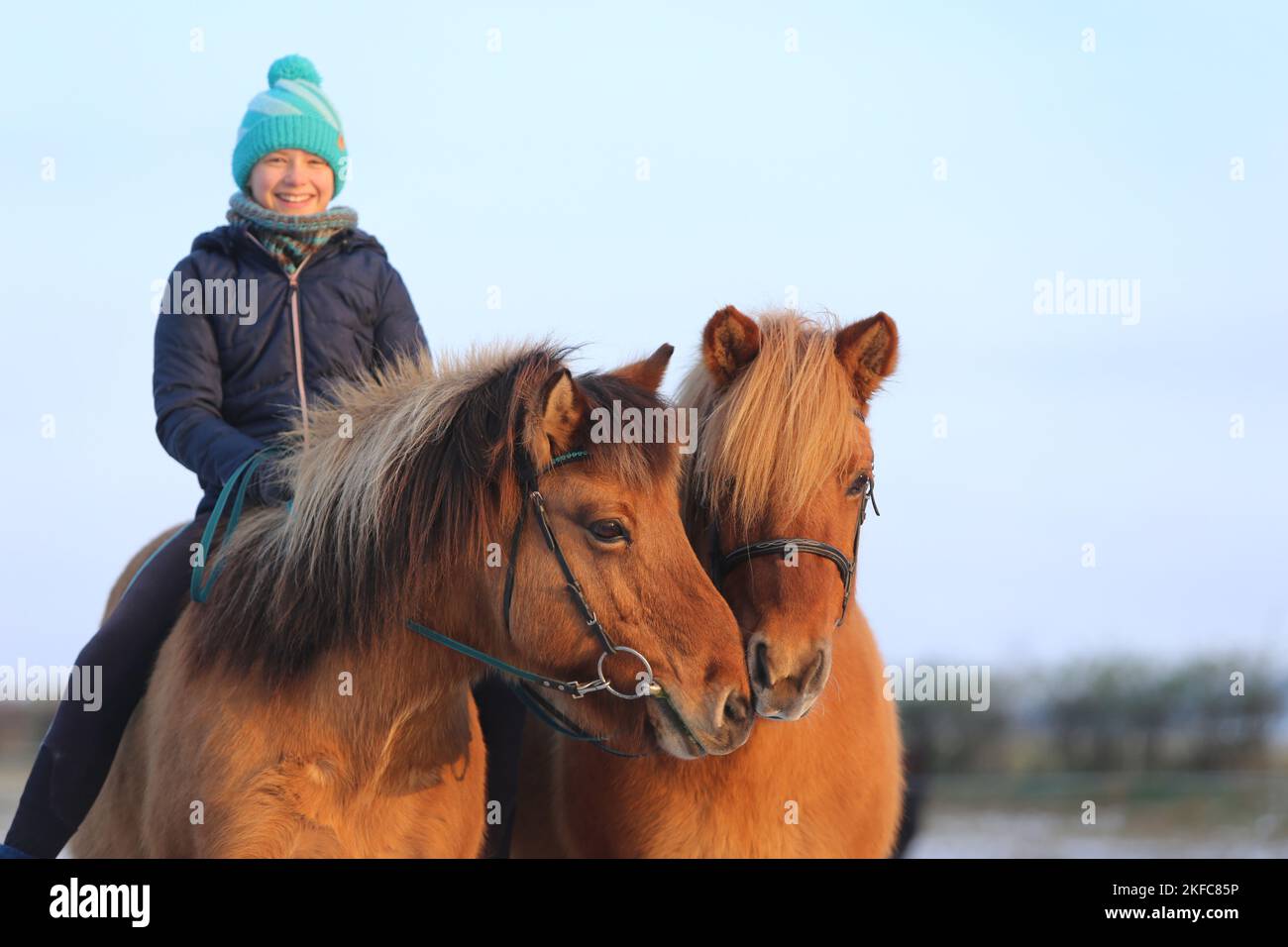 Mädchen mit isländischen Pferden Stockfoto