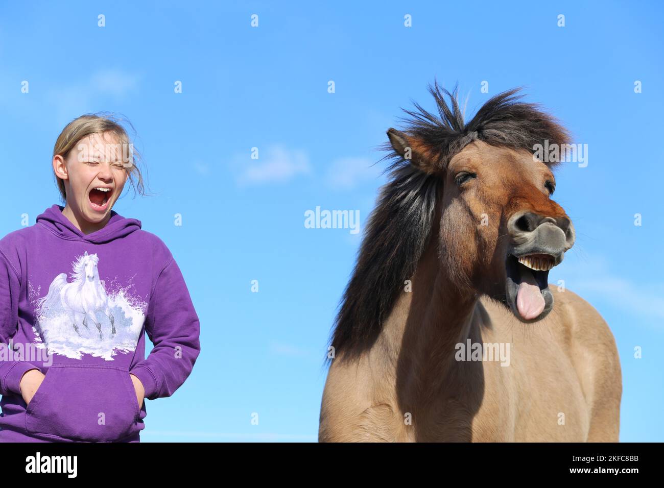 Mädchen und Islandpferd Stockfoto