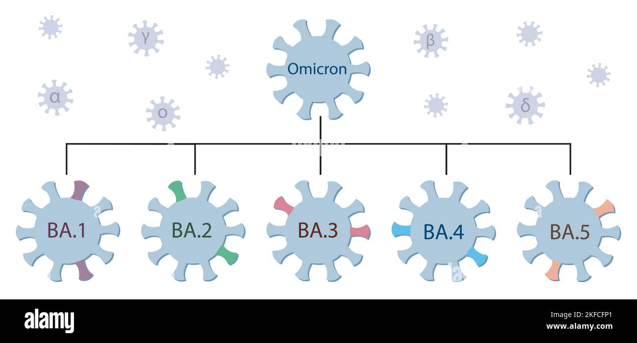 Omicron-Variante und ihre Hauptuntertypen BA.1, BA.2, BA.3, BA.4 und BA.5. Genetischer Stammbaum von Omicron. Covid-19-Virensymbole mit Namen. Stock Vektor