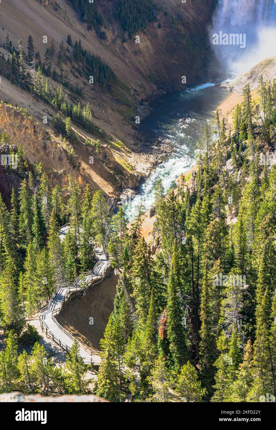 Schauen Sie hinunter oder hinüber zu den unteren Yellowstone Falls im Yellowstone National Park, USA. Das Wasser fließt und stürzt über steile Felsen im Yellowstone Canyon. Stockfoto